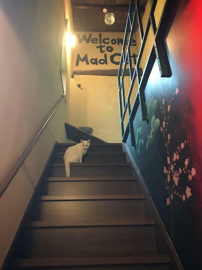 Mad Cat Hostel Osaka&Bar Exterior foto